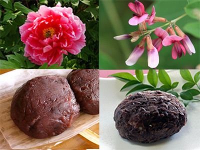 おはぎとぼたもち