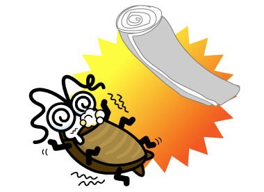 ゴキブリ駆除
